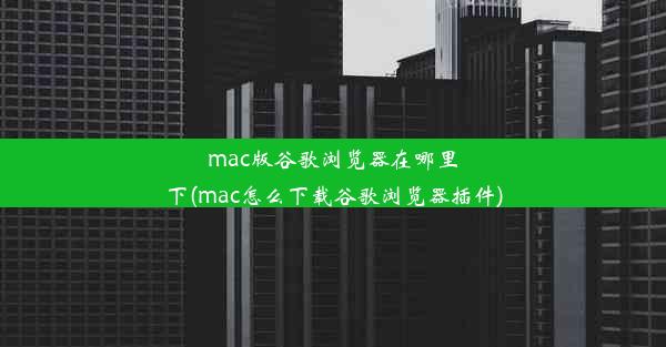 mac版谷歌浏览器在哪里下(mac怎么下载谷歌浏览器插件)