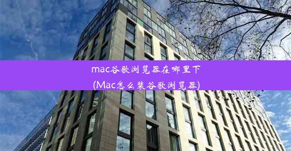 mac谷歌浏览器在哪里下(Mac怎么装谷歌浏览器)