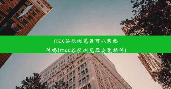 mac谷歌浏览器可以装插件吗(mac谷歌浏览器安装插件)