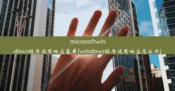 microsoftwindows程序没有响应蓝屏(windows程序没有响应怎么办)