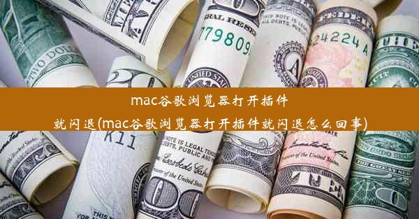 mac谷歌浏览器打开插件就闪退(mac谷歌浏览器打开插件就闪退怎么回事)