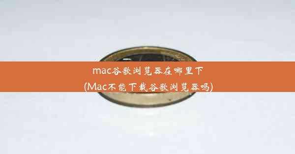 mac谷歌浏览器在哪里下(Mac不能下载谷歌浏览器吗)