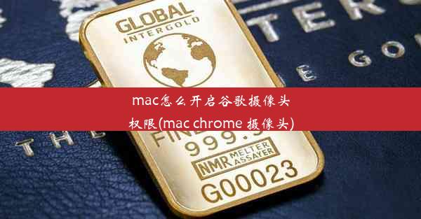 mac怎么开启谷歌摄像头权限(mac chrome 摄像头)