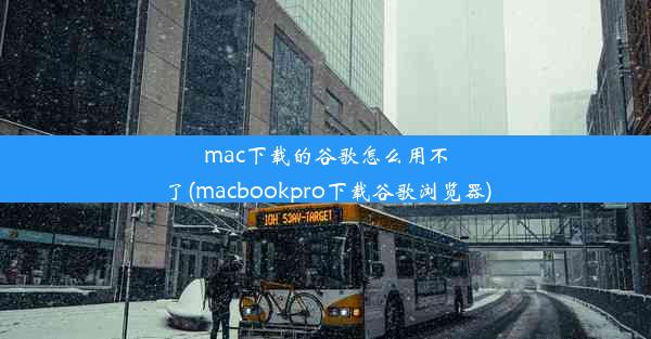 mac下载的谷歌怎么用不了(macbookpro下载谷歌浏览器)