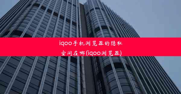 iqoo手机浏览器的隐私空间在哪(iqoo浏览器)