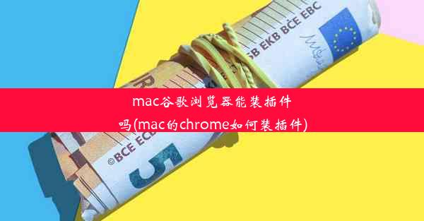 mac谷歌浏览器能装插件吗(mac的chrome如何装插件)