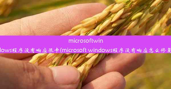 microsoftwindows程序没有响应很卡(microsoft windows程序没有响应怎么修复)