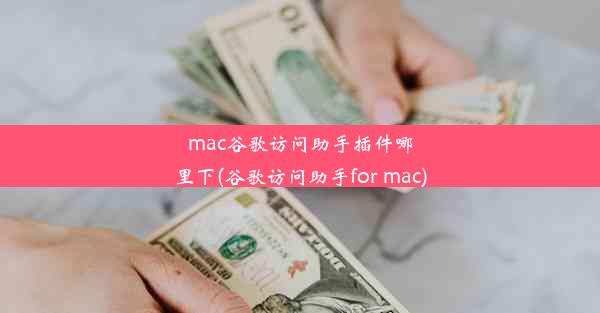 mac谷歌访问助手插件哪里下(谷歌访问助手for mac)