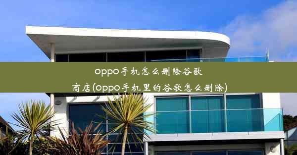 oppo手机怎么删除谷歌商店(oppo手机里的谷歌怎么删除)