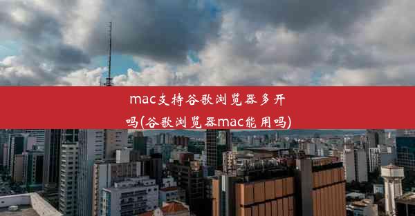 mac支持谷歌浏览器多开吗(谷歌浏览器mac能用吗)