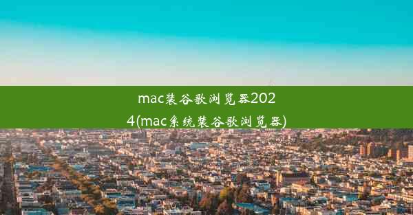 mac装谷歌浏览器2024(mac系统装谷歌浏览器)