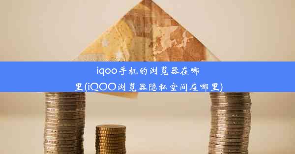 iqoo手机的浏览器在哪里(iQOO浏览器隐私空间在哪里)