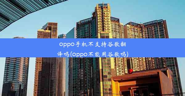 oppo手机不支持谷歌翻译吗(oppo不能用谷歌吗)