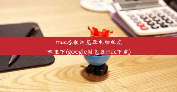 mac谷歌浏览器电脑版在哪里下(google浏览器mac下载)