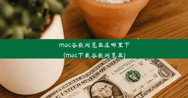 mac谷歌浏览器在哪里下(mac下载谷歌浏览器)