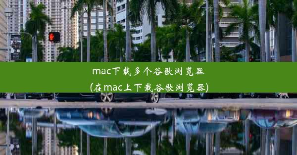 mac下载多个谷歌浏览器(在mac上下载谷歌浏览器)