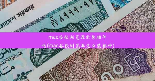 mac谷歌浏览器能装插件吗(mac谷歌浏览器怎么装插件)