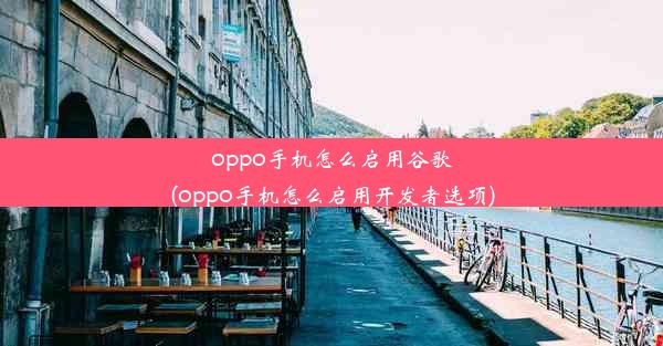 oppo手机怎么启用谷歌(oppo手机怎么启用开发者选项)