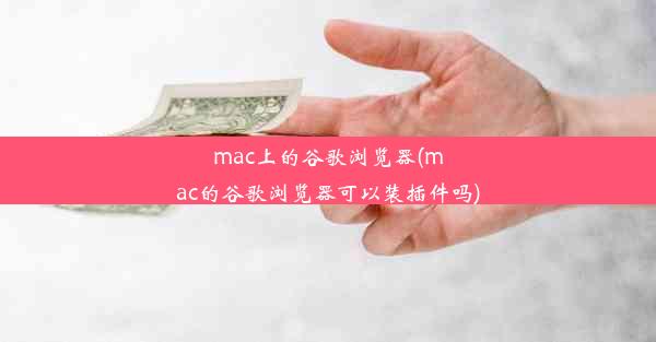 mac上的谷歌浏览器(mac的谷歌浏览器可以装插件吗)