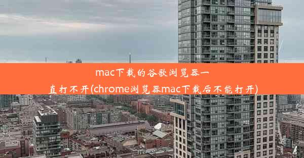 mac下载的谷歌浏览器一直打不开(chrome浏览器mac下载后不能打开)