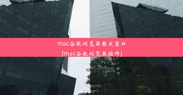 mac谷歌浏览器固定窗口(mac谷歌浏览器插件)