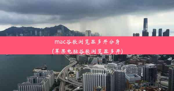 mac谷歌浏览器多开分身(苹果电脑谷歌浏览器多开)