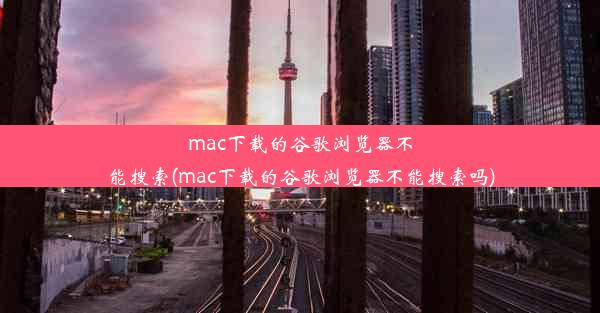 mac下载的谷歌浏览器不能搜索(mac下载的谷歌浏览器不能搜索吗)