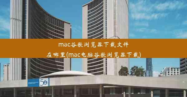 mac谷歌浏览器下载文件在哪里(mac电脑谷歌浏览器下载)