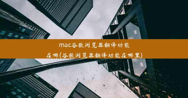 mac谷歌浏览器翻译功能在哪(谷歌浏览器翻译功能在哪里)