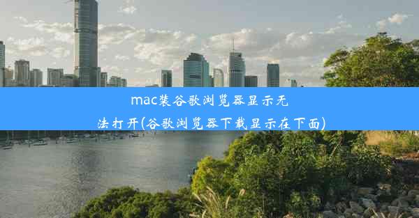 mac装谷歌浏览器显示无法打开(谷歌浏览器下载显示在下面)