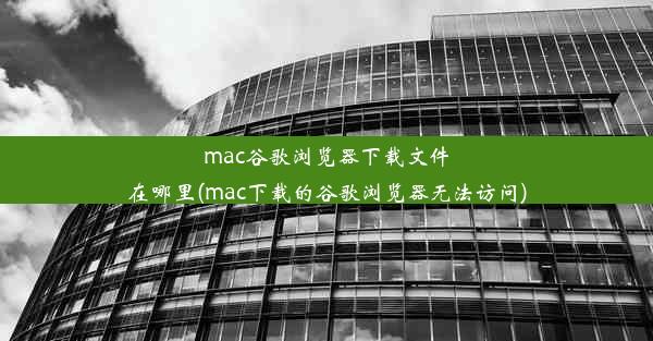 mac谷歌浏览器下载文件在哪里(mac下载的谷歌浏览器无法访问)