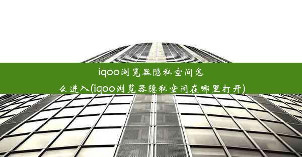 iqoo浏览器隐私空间怎么进入(iqoo浏览器隐私空间在哪里打开)