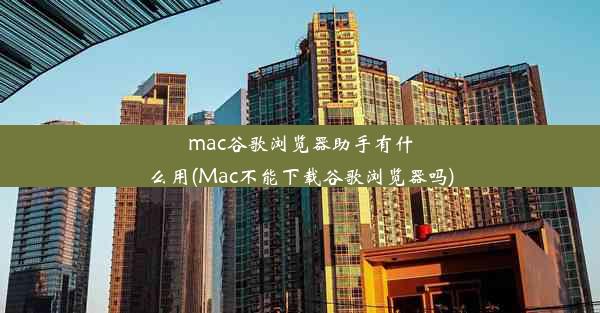 mac谷歌浏览器助手有什么用(Mac不能下载谷歌浏览器吗)