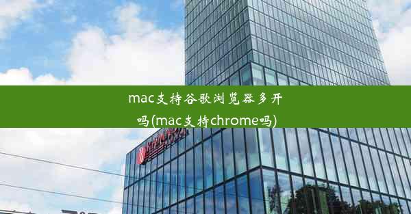 mac支持谷歌浏览器多开吗(mac支持chrome吗)