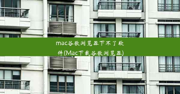 mac谷歌浏览器下不了软件(Mac下载谷歌浏览器)