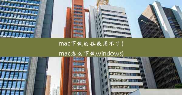 mac下载的谷歌用不了(mac怎么下载windows)