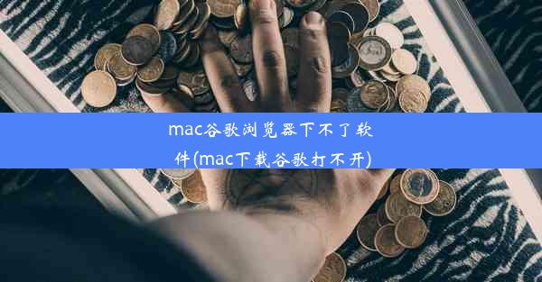 mac谷歌浏览器下不了软件(mac下载谷歌打不开)