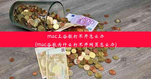 mac上谷歌打不开怎么办(mac谷歌为什么打不开网页怎么办)