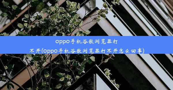 oppo手机谷歌浏览器打不开(oppo手机谷歌浏览器打不开怎么回事)