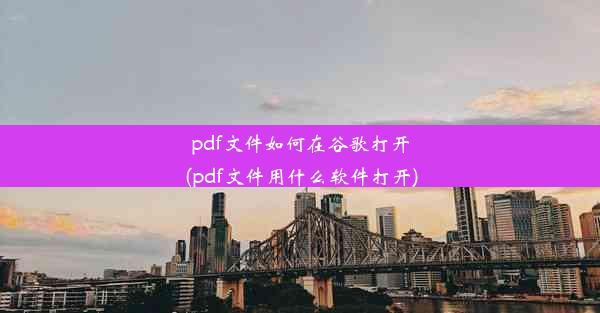 pdf文件如何在谷歌打开(pdf文件用什么软件打开)