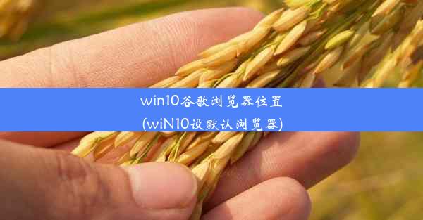 win10谷歌浏览器位置(wiN10设默认浏览器)