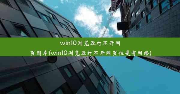 win10浏览器打不开网页图片(win10浏览器打不开网页但是有网络)