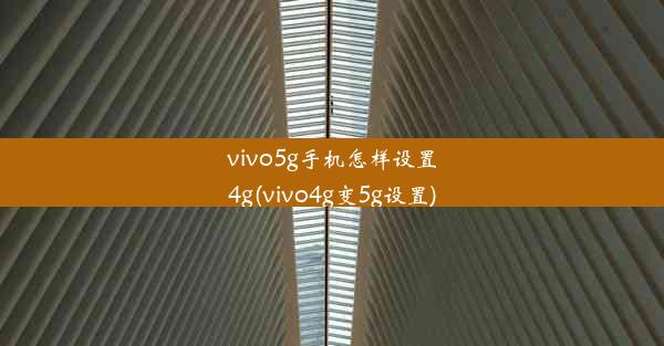 vivo5g手机怎样设置4g(vivo4g变5g设置)