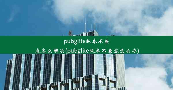 pubglite版本不兼容怎么解决(pubglite版本不兼容怎么办)