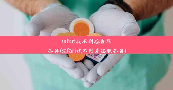 safari找不到谷歌服务器(safari找不到爱思服务器)