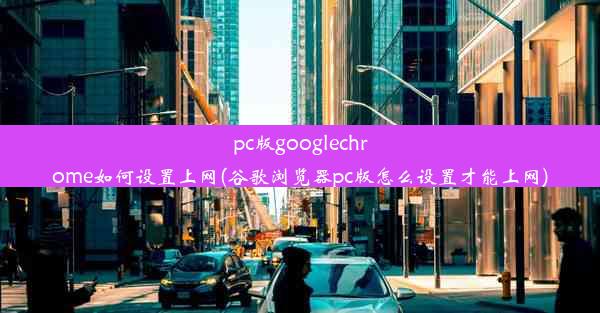 pc版googlechrome如何设置上网(谷歌浏览器pc版怎么设置才能上网)