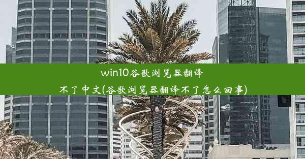 win10谷歌浏览器翻译不了中文(谷歌浏览器翻译不了怎么回事)