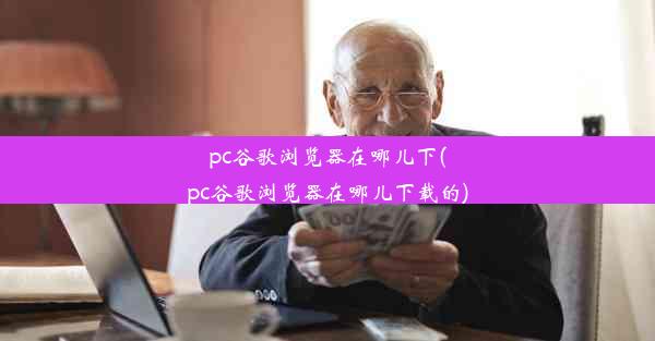 pc谷歌浏览器在哪儿下(pc谷歌浏览器在哪儿下载的)